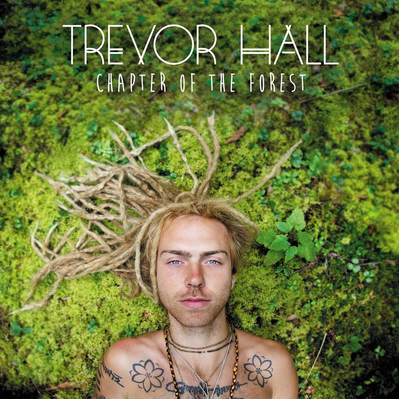 Trevor Hall Chapter Of The Forest Vinyl Lp Amoeba Music