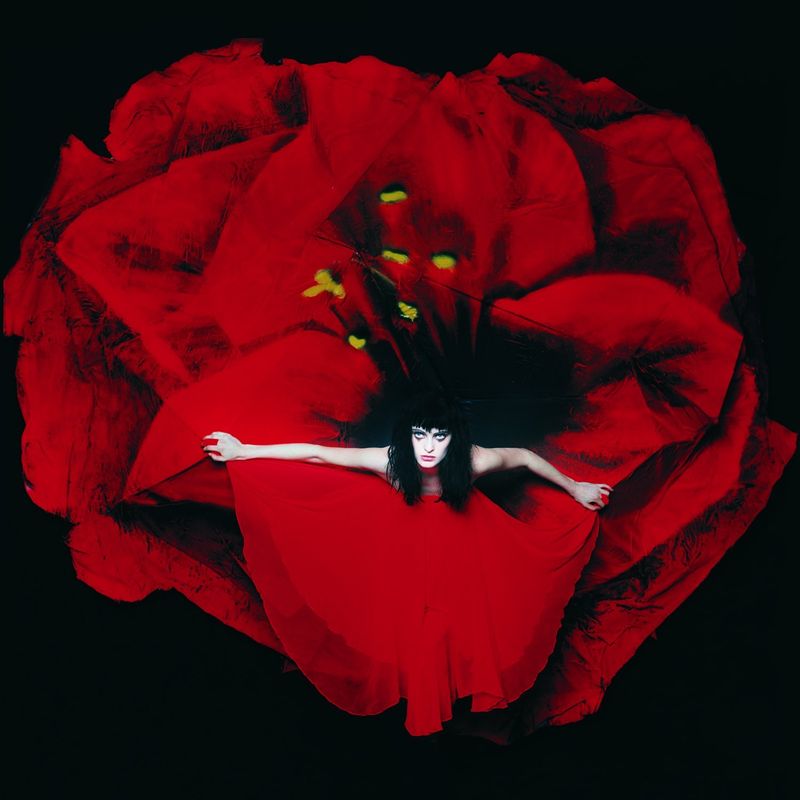 未聴 The Smashing Pumpkins 「Adore」アナログレコード Vinyl | The Smashing Pumpkins | Adore