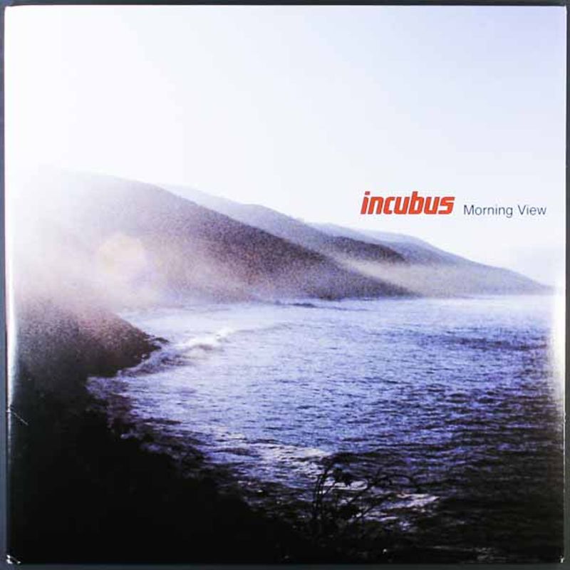 Incubus Morning View Blue Vinyl Vinyl Lp Amoeba Music