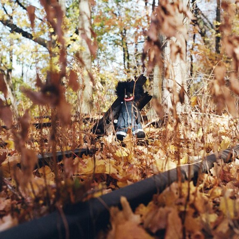 billy woods - GOLLIWOG (Vinyl LP) - Amoeba Music