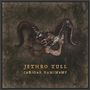 Curious Ruminant (LP)