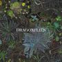 Dragonflies (CD)
