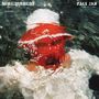 Bewilderment (LP)
