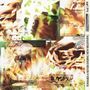 Toward A Never Ending New Beginning (CD)