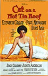 Cat on a Hot Tin Roof (DVD)