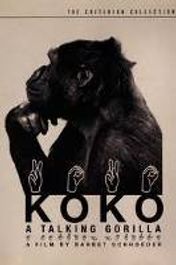 Koko-A Talking Gorilla (DVD)