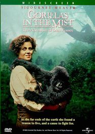 Gorillas In The Mist