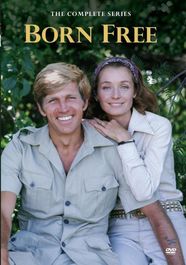 Born Free: The Complete First Season / (Mod) (DVD)