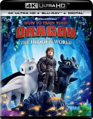 How To Train Your Dragon: Hidd