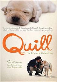 Quill: The Life Of A Guide Dog (DVD)