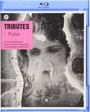 Russia: St. Petersburg/Sebasto (DVD)