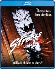 Strays [1991] (BLU)