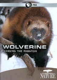 Wolverine: Chasing The Phantom (DVD)