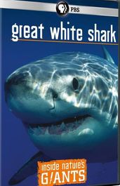 Great White Sharks (DVD)