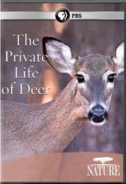 Nature: Private Life Of Deer (DVD)