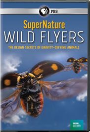Supernature: Wild Flyers