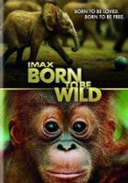 Born To Be Wild (DVD)