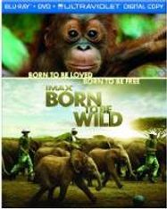 Born To Be Wild (BLU)