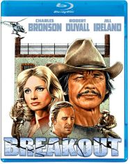 Breakout [1975] (BLU)