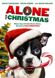Alone For Christmas (DVD)