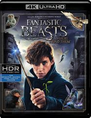 Fantastic Beasts & Where To Find Them (4K Ultra HD)