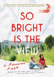 So Bright Is The View [2014] (DVD)