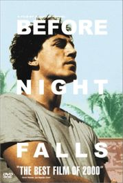 Before Night Falls (DVD)