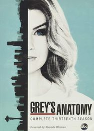 Grey's Anatomy: Complete Thirteenth Season (DVD)
