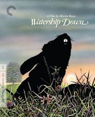 Watership Down [1978] [Criterion] (BLU)